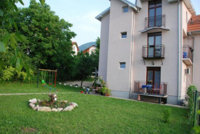 Отель Apartments Hadži  Сокобаня